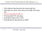 Bài giảng Công nghệ sinh học đại cương: Chương 2 - ThS. Ninh Thị Thảo (Bài 3)