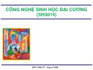 Bài giảng Công nghệ sinh học đại cương: Chương 2 - ThS. Ninh Thị Thảo (Bài 4)