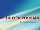 Bài giảng Sinh học phân tử: Di truyền vi khuẩn - Nguyễn Thị Ngọc Yến