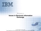 Lecture Introduction to XML: Issues in Electronic Information Exchange