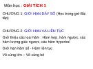 Bài giảng Giải tích 1 - Chương 2: Giới hạn và liên tục