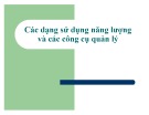 Bài giảng Kinh tế năng lượng: Các dạng sử dụng năng lượng và các công cụ quản lý