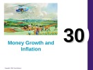 Lecture Principles of economics - Chapter 30: Money growth and inflation