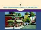 Lecture Principles of economics - Chapter 3: Consumers, producers, and the efficiency of markets
