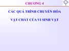 Bài giảng Vi sinh vật thực phẩm - Chương 4: Các quá trình chuyển hóa vật chất của vi sinh vật