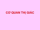 Bài giảng Cơ quan thị giác - Lê Hồng Thịnh