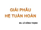 Bài giảng Giải phẫu hệ tuần hoàn - Lê Hồng Thịnh