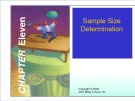 Lecture Marketing research - Chapter 11: Sample size determination