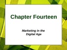 Lecture Principles of Marketing - Chapter 14: Marketing in the digital age