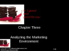 Lecture Principles of Marketing - Chapter 3: Analyzing the Marketing environment