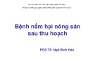 Bài giảng Vi sinh vật hại nông sản sau thu hoạch: Chương 2(tt) - PGS.TS. Ngô Bích Hảo