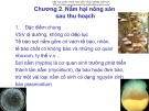 Bài giảng Vi sinh vật hại nông sản sau thu hoạch: Chương 2 - PGS.TS. Ngô Bích Hảo