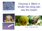 Bài giảng Vi sinh vật hại nông sản sau thu hoạch: Chương 3 - PGS.TS. Ngô Bích Hảo