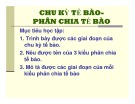 Bài giảng Chu kỳ tế bào, phân chia tế bào