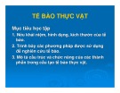 Bài giảng Thực vật thuốc: Tế bào thực vật