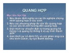 Bài giảng Quang hợp (46 tr)