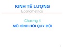 Bài giảng Kinh tế lượng - Chương 4: Mô hình hồi quy bội