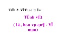 Bài giảng Tiết 3: Vẽ theo mẫu - Tĩnh vật (Lọ, hoa và quả, vẽ màu)