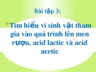 Bài thuyết trình: Tìm hiểu vi sinh vật tham gia vào quá trình lên men rượu, acid lactic và acid acetic (Bài tập 3)