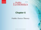 Lecture Public economics (5th edition) - Chapter 6: Public choice theory