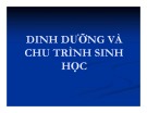 Bài giảng Quản lý môi trường ao nuôi thủy sản - Chương 5: Dinh dưỡng và chu trình sinh học