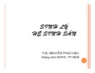 Bài giảng Sinh lý hệ sinh sản - ThS.BS. Nguyễn Phúc Hậu (2010)