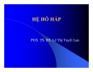 Bài giảng Hệ hô hấp - PGS.TS Lê Thị Tuyết Lan