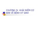 Bài giảng Bệnh học thủy sản: Chương 4 - Hồ Phương Ngân