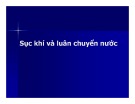 Bài giảng Quản lý môi trường ao nuôi thủy sản - Chương 6c: Sục khí và luân chuyển nước