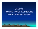 Bài giảng Bệnh học thủy sản: Chương 5 - Hồ Phương Ngân