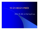 Bài giảng Tuần hoàn phổi - PGS.TS. BS. Lê Thị Tuyết Lan