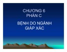 Bài giảng Bệnh học thủy sản: Chương 6 - Hồ Phương Ngân (Phần C)