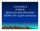 Bài giảng Bệnh học thủy sản: Chương 6 - Hồ Phương Ngân (Phần B)