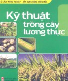 Mô hình trồng cây lương thực: Phần 1