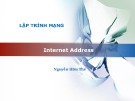 Bài giảng Lập trình mạng: Internet Address - Nguyễn Hữu Thể