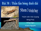 Bài thuyết trình bài 38: Thằn lằn bóng đuôi da