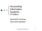 Lecture Accounting information systems (9th edition): Chapter 8 - Marshall B. Romney, Paul John Steinbart