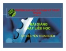 Bài giảng Vật liệu học: Tuần 2 - Nguyễn Thanh Điểu