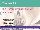 Lecture Biology: Chapter 15 - Niel Campbell, Jane Reece