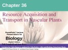 Lecture Biology: Chapter 36 - Niel Campbell, Jane Reece