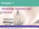 Lecture Biology: Chapter 7 - Niel Campbell, Jane Reece