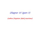 Lecture Principles of biochemistry - Chapter 15 (part 3): Carbon fixation (dark reactions)