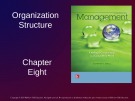 Lecture Management: Leading and collaborating in a competitive world - Chapter 8: Organization structure