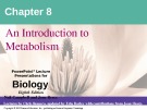 Lecture Biology: Chapter 8 - Niel Campbell, Jane Reece