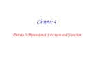 Lecture Principles of biochemistry - Chapter 4 (part 1): Protein 3-Dimensional structure and function