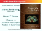 Lecture Molecular biology: Chapter 11 - Robert F. Weaver