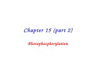 Lecture Principles of biochemistry - Chapter 15 (part 2): Photophosphorylation