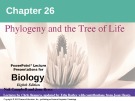 Lecture Biology: Chapter 26 - Niel Campbell, Jane Reece