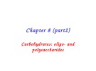 Lecture Principles of biochemistry - Chapter 8 (part 2): Carbohydrates: oligo and polysaccharides