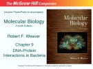 Lecture Molecular biology: Chapter 9 - Robert F. Weaver